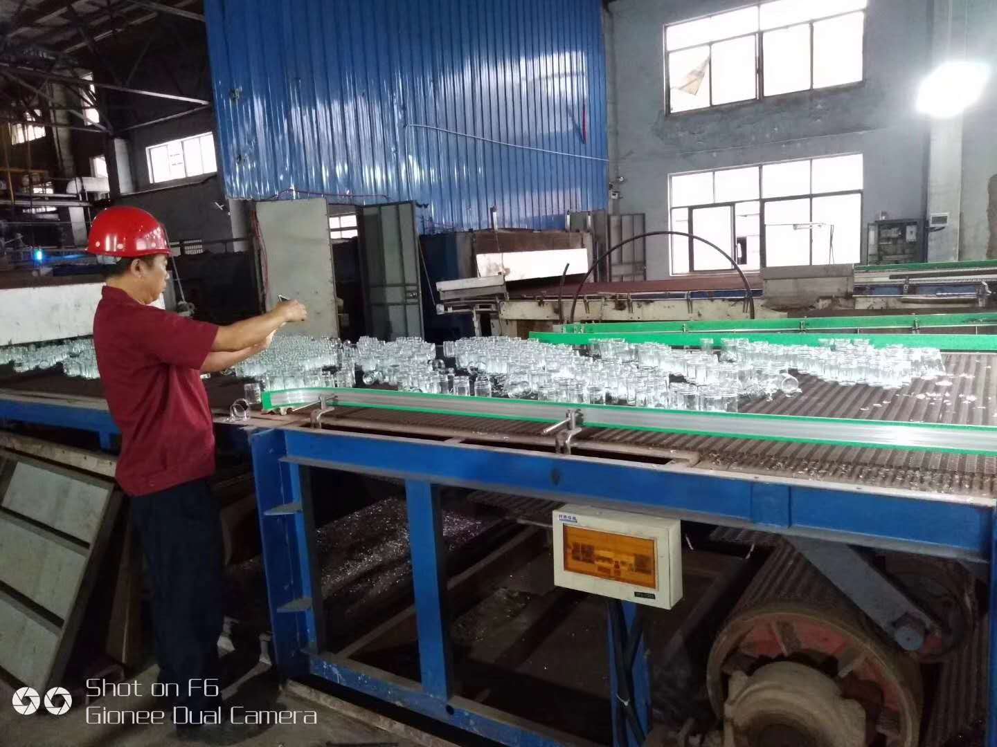 麻豆成人在线观看
