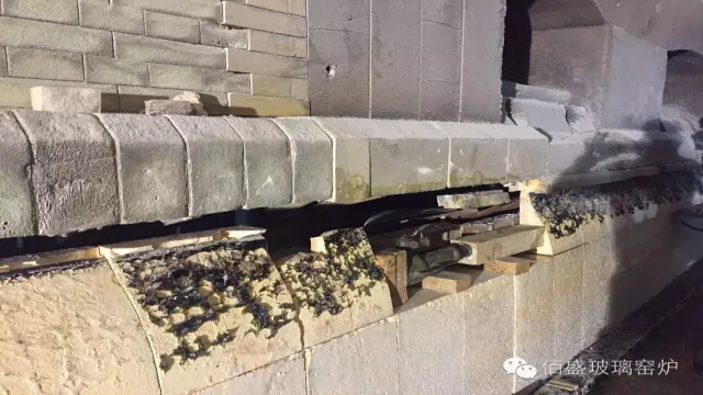 麻豆成人在线观看