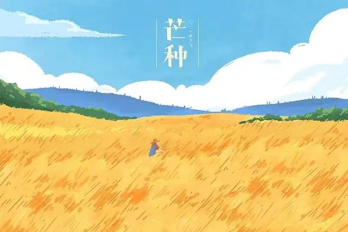 芒種 芒種