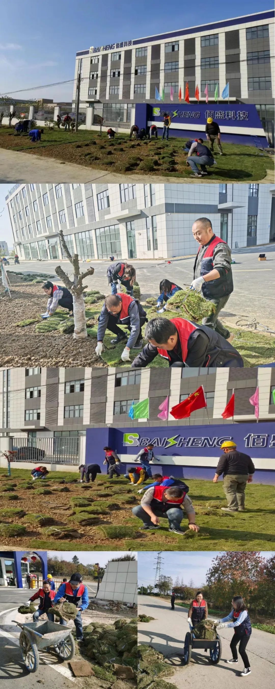 麻豆影音在线播放
